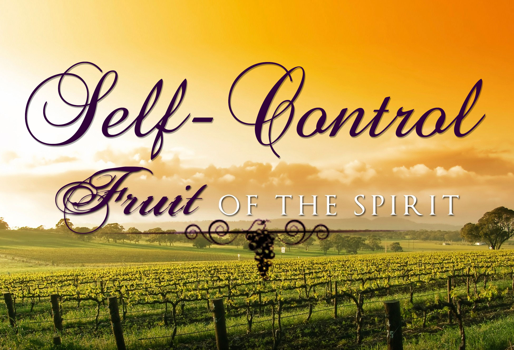 Self Control: An Invitation to Suffer